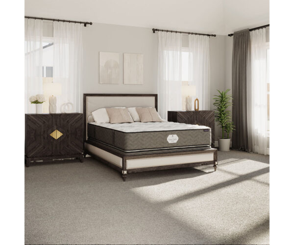 Quiet Night Duo Mattress